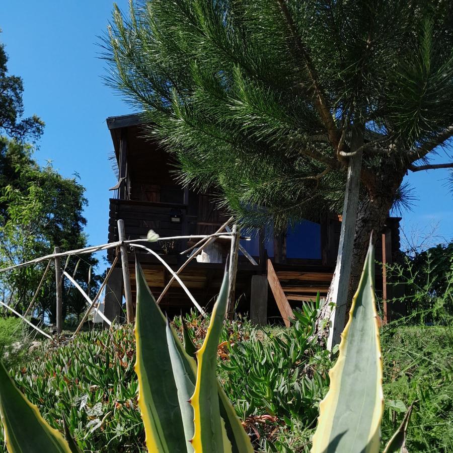 Casa Do Sobreiro 2 Panzió Serra das Alhadas Kültér fotó