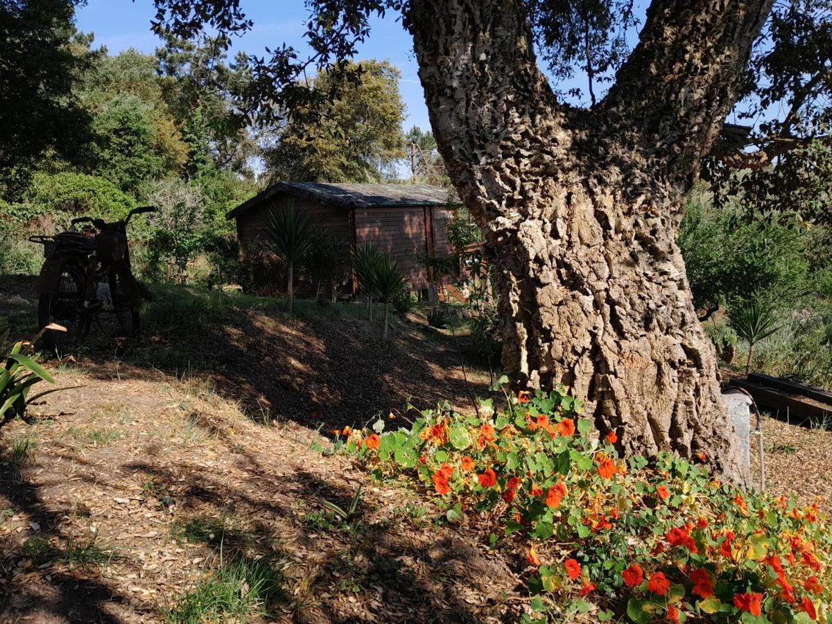 Casa Do Sobreiro 2 Panzió Serra das Alhadas Kültér fotó